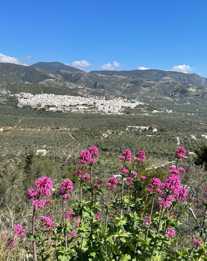 Apartmán La Vie En Rose Mattinata Exteriér fotografie
